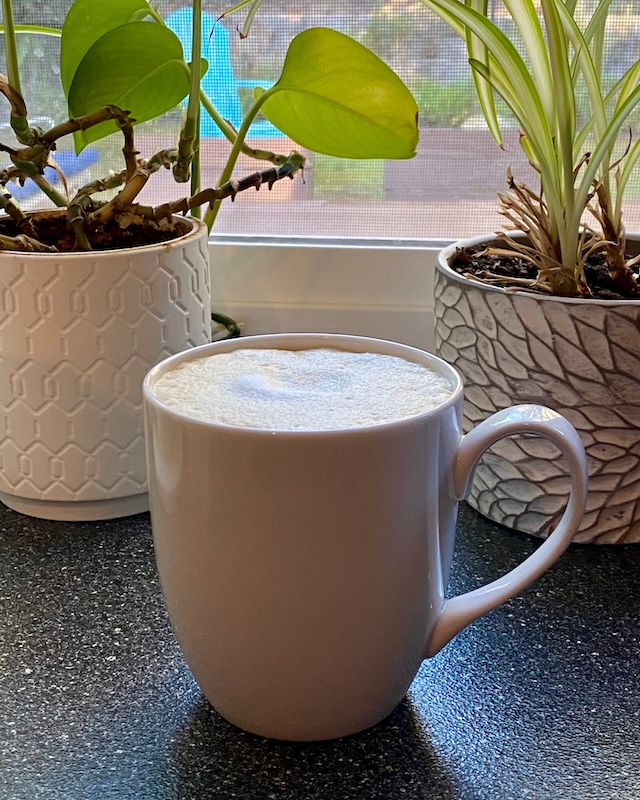 A white cup of coffee with foamed milk, in front of a window. In the background, between the cup and the window, a pothos plant and a spider plant can be seen.